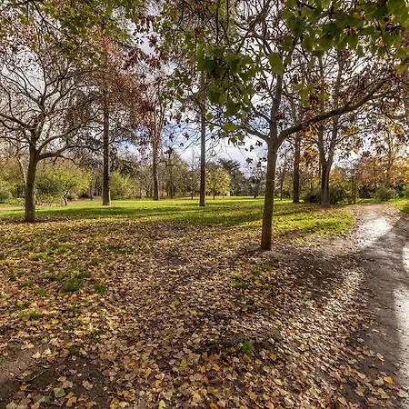 Comfortable , Porte-doree District, Lägenhet